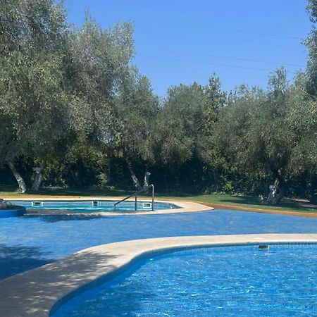 Apartamento A 8Km Sevilla Centro Valencina de la Concepción Eksteriør bilde