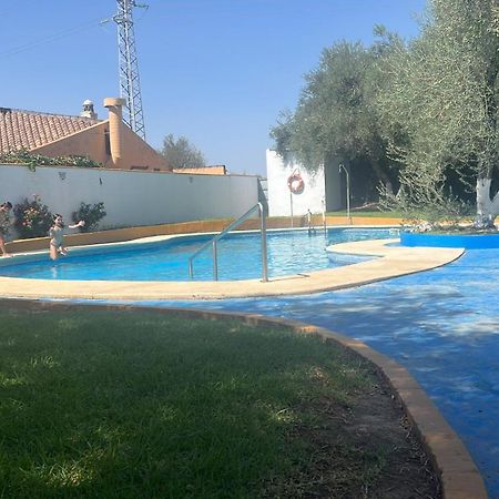 Apartamento A 8Km Sevilla Centro Valencina de la Concepción Eksteriør bilde