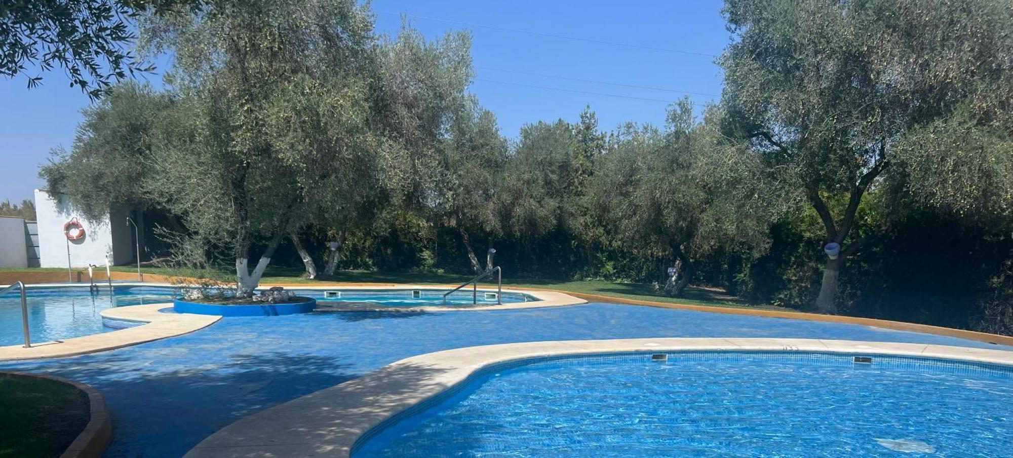 Apartamento A 8Km Sevilla Centro Valencina de la Concepción Eksteriør bilde